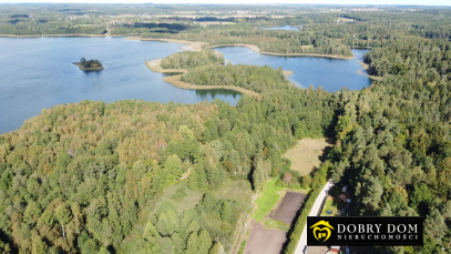 Działka 21277m2 Krzywe — zdjęcie 5 z 16