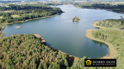 Działka 21277m2 Krzywe — zdjęcie 7 z 16