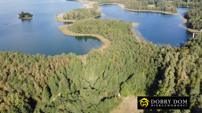 Działka 21277m2 Krzywe — zdjęcie 8 z 16