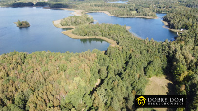 Działka 21277m2 Krzywe — zdjęcie 11 z 16