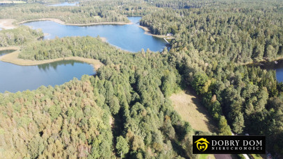 Działka 21277m2 Krzywe — zdjęcie 12 z 16