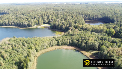 Działka 21277m2 Krzywe — zdjęcie 13 z 16