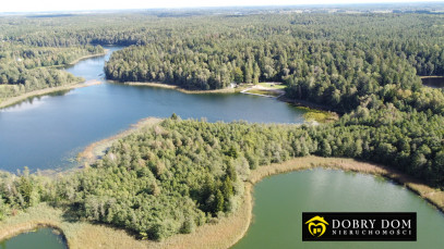 Działka 21277m2 Krzywe — zdjęcie 14 z 16