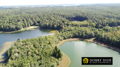 Działka 21277m2 Krzywe — zdjęcie 15 z 16