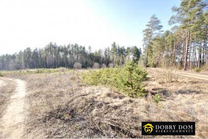 Działka 23258m2 Tarnopol — zdjęcie od frontu