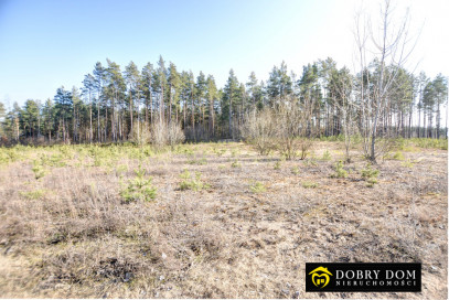 Działka 3200m2 Siemianówka — zdjęcie od frontu