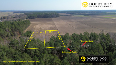 Działka 3000m2 Wyszki — zdjęcie od frontu