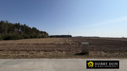 Działka 3000m2 Wyszki — wnętrze 2