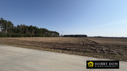 Działka 3000m2 Wyszki — wnętrze 3