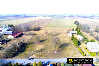 Działka 8235m2 Dubiny — wnętrze 2