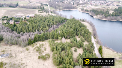 Działka 13228m2 Bakałarzewo - wnętrze 2