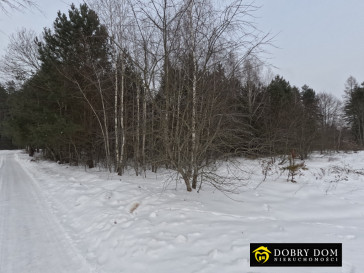 Działka 2180m2 Józefowo — zdjęcie 10 z 15