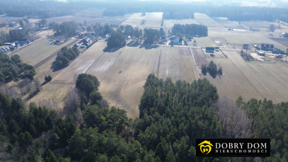 Działka 6640m2 Zalesie — zdjęcie 9 z 9