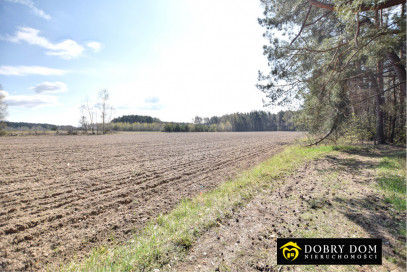 Działka 1050m2 Pomigacze — zdjęcie od frontu