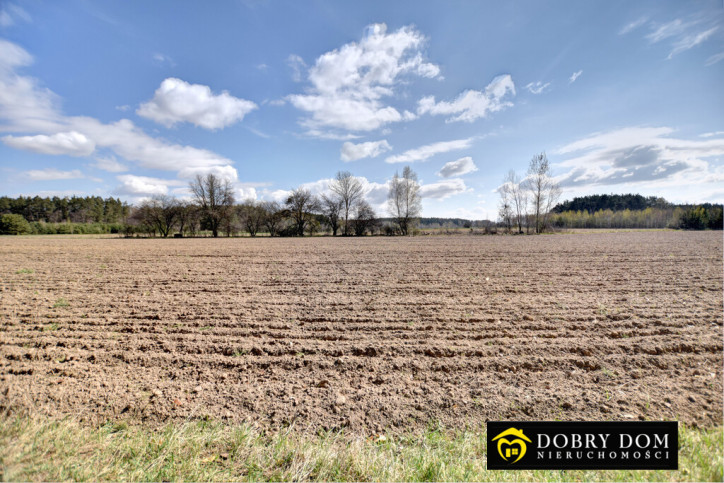 Działka Sprzedaż Pomigacze 1