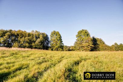Działka 1518m2 Leszczewo — zdjęcie 11 z 12