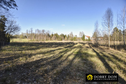 Działka 8432m2 Grabówka — widok główny
