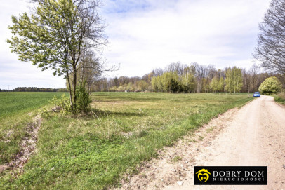 Działka 3553m2 Pasynki — zdjęcie od frontu