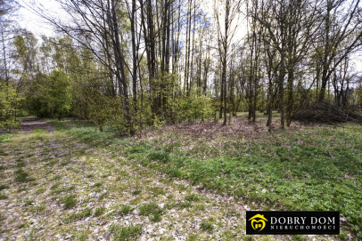 Działka 3193m2 Pasynki — zdjęcie od frontu