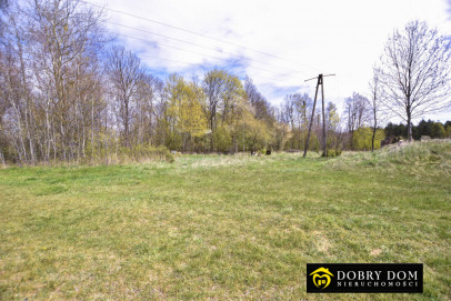Działka 4933m2 Pasynki — zdjęcie od frontu