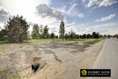 Działka 4901m2 Lewkowo Nowe — widok główny