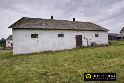 Dom 100m2 Chutkowice — zdjęcie 14 z 18