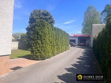 Lokal 280m2 Łomża — zdjęcie 6 z 25