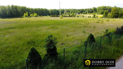 Działka 11900m2 Sikory Juskie — zdjęcie 10 z 15