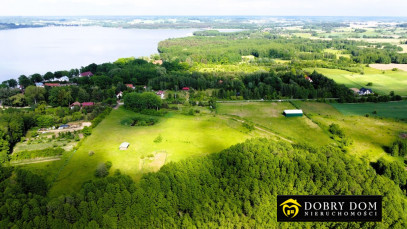 Działka 11900m2 Sikory Juskie — wnętrze 3