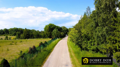 Działka 11900m2 Sikory Juskie — zdjęcie 14 z 15