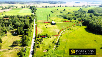 Działka 11900m2 Sikory Juskie — zdjęcie 5 z 15