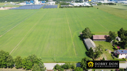 Działka 1500m2 Dubowo Pierwsze — zdjęcie 11 z 18