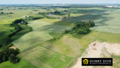 Działka 3000m2 Przebród — wnętrze 3