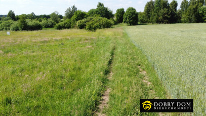 Działka 3000m2 Przebród — zdjęcie 10 z 16