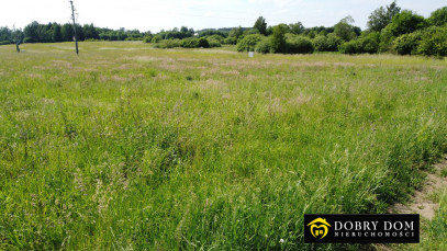Działka 3000m2 Przebród — zdjęcie 11 z 16