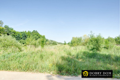 Działka 1500m2 Halickie — zdjęcie od frontu