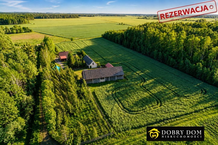 Dom Sprzedaż Kamień 1