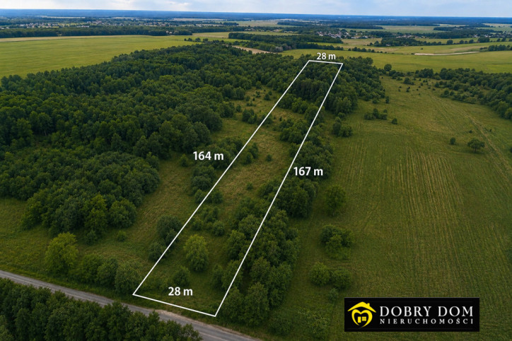 Działka Sprzedaż Wólka Poduchowna 1