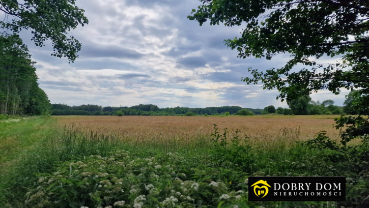 Działka Sprzedaż Pokaniewo-Kolonia 1