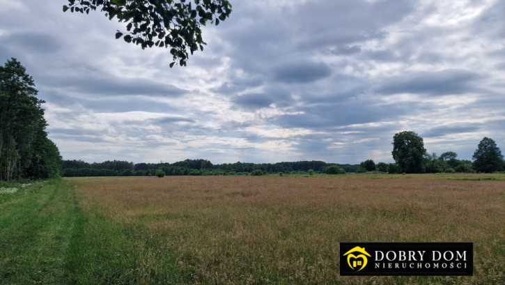 Działka Sprzedaż Pokaniewo-Kolonia 3
