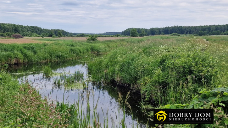 Działka Sprzedaż Pokaniewo-Kolonia 5