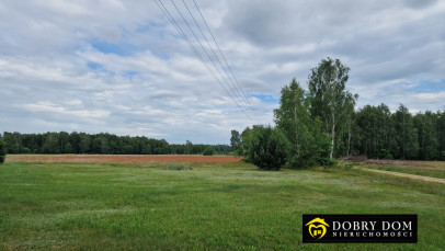 Działka 3000m2 Pokaniewo-Kolonia — widok główny