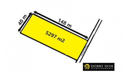 Działka 5297m2 Talkowszczyzna - zdjęcie od frontu