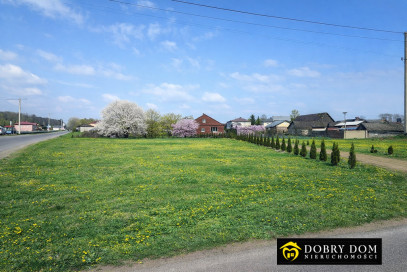 Działka 1700m2 Nowy Dwór — zdjęcie 7 z 7