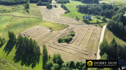 Działka 4432m2 Buda Ruska — zdjęcie 7 z 12