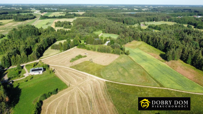 Działka 4432m2 Buda Ruska — zdjęcie 8 z 12
