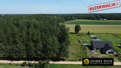 Działka 3001m2 Zaczerlany — wnętrze 2