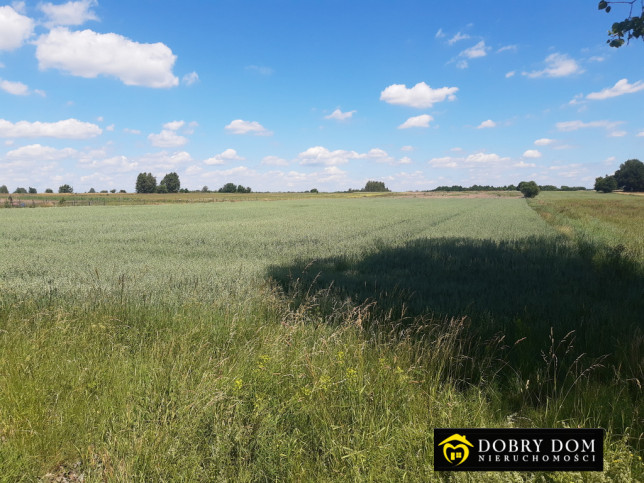 Działka Sprzedaż Kruszewo 4