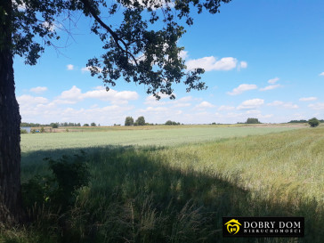 Działka 16393m2 Kruszewo — zdjęcie 5 z 10