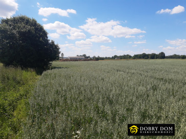 Działka 16393m2 Kruszewo — zdjęcie 9 z 10